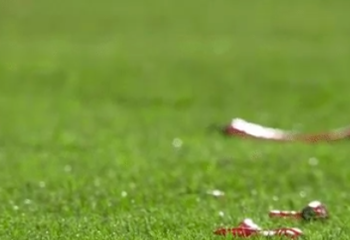 Rode pepers op het veld bij Twente na actie fans